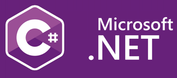 MS C# Visual Studio programming Kenosha WI